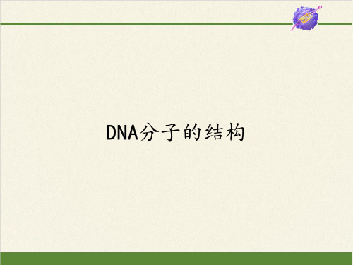 高中生物必修二课件-4.2.1DNA分子的结构12-苏教版
