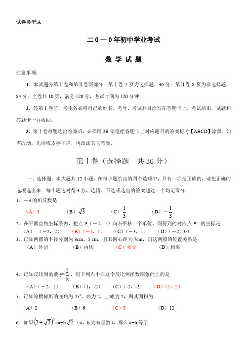 最新初中中考数学题库 2010年日照市中考数学试题及答案