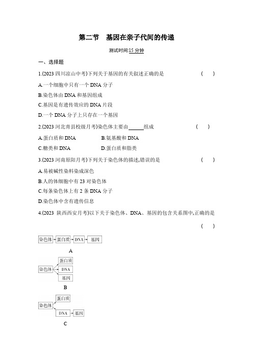 7.2.2基因在亲子代间的传递同步练习(含解析)人教版八年级下册生物