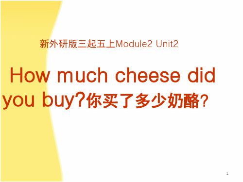 五年级上英语How-much-cheese-did-you-buy(课堂PPT)