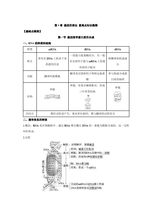 期末复习重难点知识集锦 第4章 基因的表达(知识点)-高一生物人教版必修二