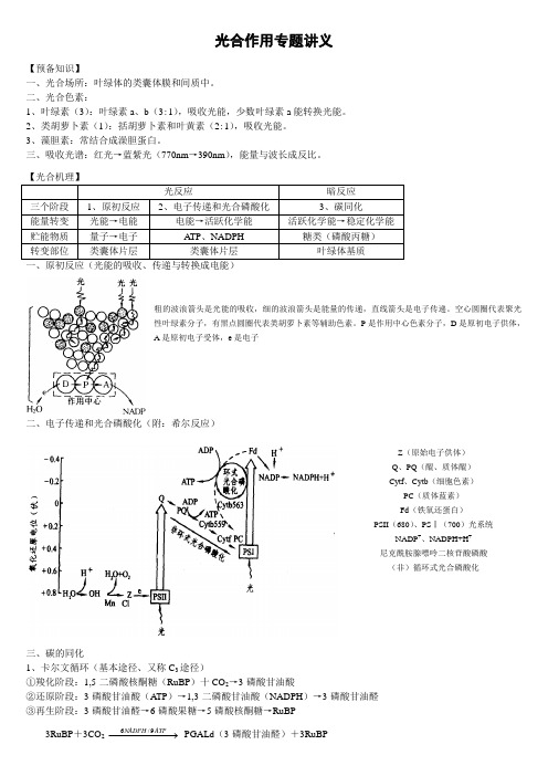 光合作用专题讲义