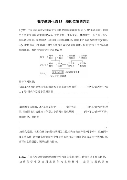 2024届高三生物二轮复习微专题强化练13：基因位置的判定