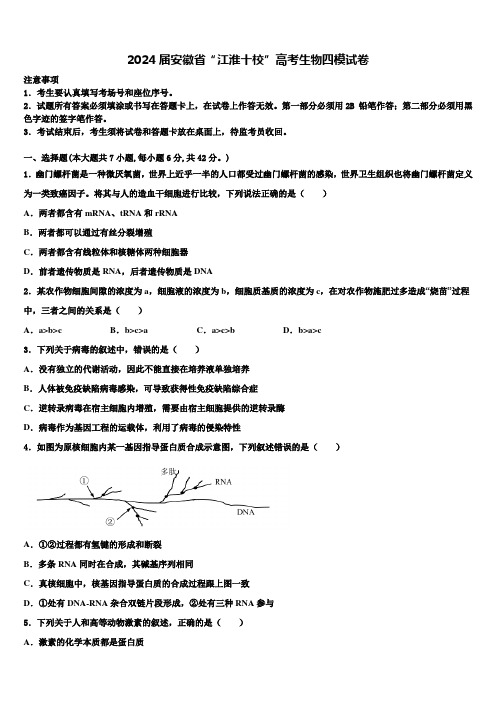 2024届安徽省“江淮十校”高考生物四模试卷含解析