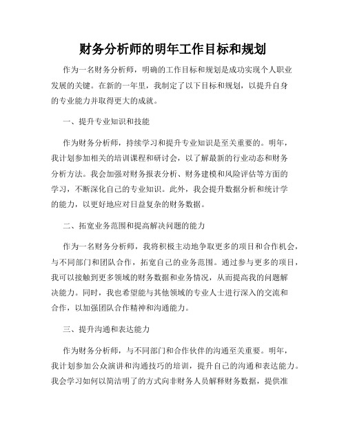 财务分析师的明年工作目标和规划