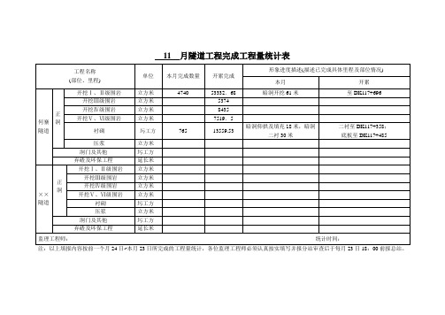 11月隧道工程完成工程量统计表