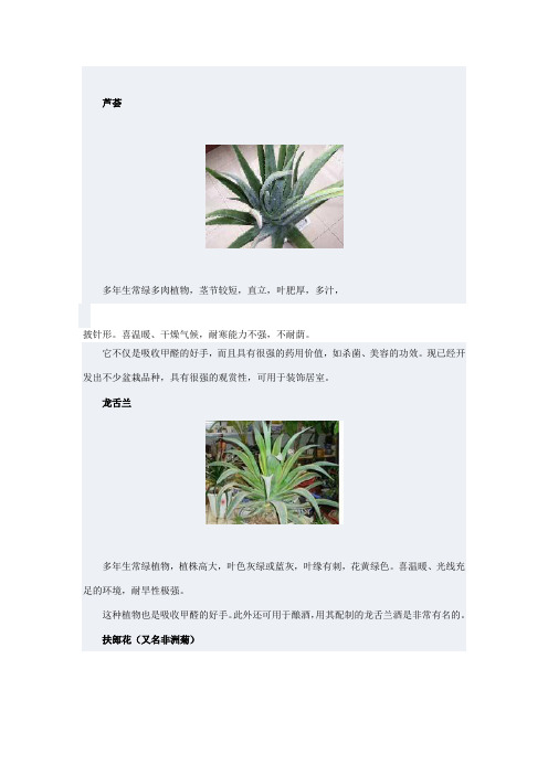 部分植物花卉的作用
