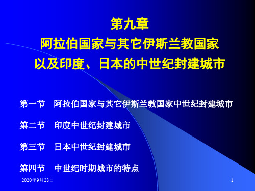 09第九章阿拉伯国家与其它伊斯兰教国家PPT课件