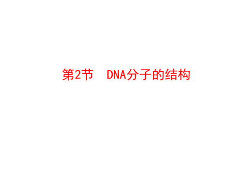 2020-2021学年高中生物必修二人教版课件：第3章 第2节 DNA分子的结构