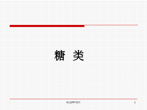 糖类PPTPPT课件