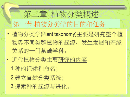 《植物学多媒体教材》PPT课件