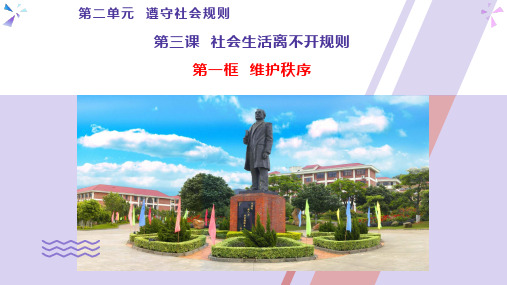 3.1 维护秩序-部编版道德与法治八年级上册 课件(共20张PPT)