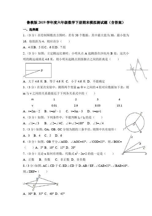 鲁教版2019学年度六年级数学下册期末模拟测试题(含答案)