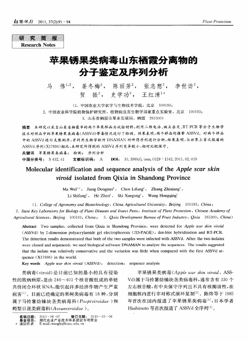 苹果锈果类病毒山东栖霞分离物的分子鉴定及序列分析