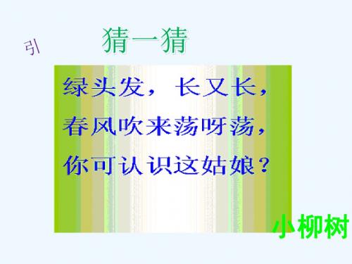 语文人教版二年级上册《小柳树和小枣树》课件