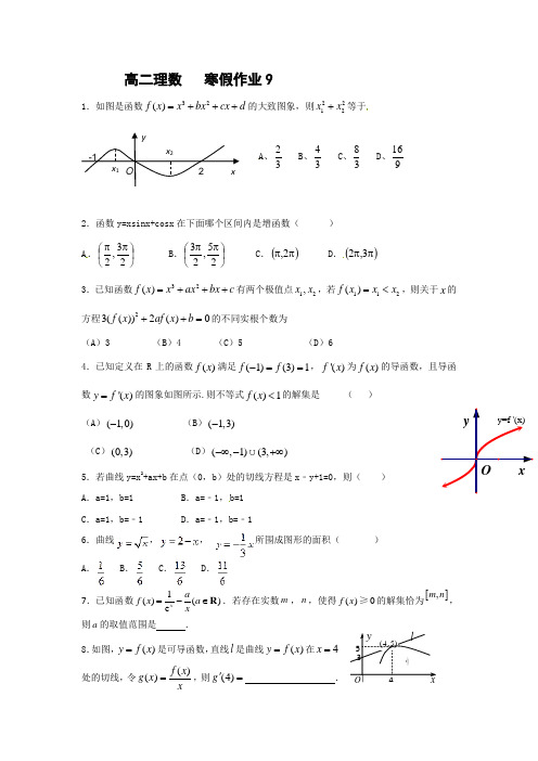 高二寒假作业数学(理)试题(9) 含答案