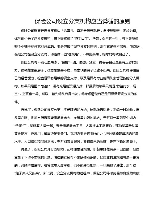 保险公司设立分支机构应当遵循的原则