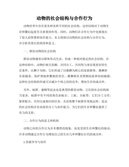 动物的社会结构与合作行为