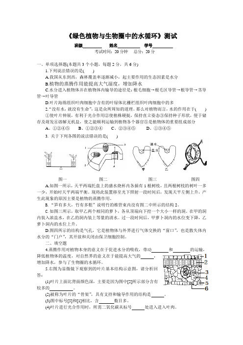 绿色植物与生物圈中的水循环测试题