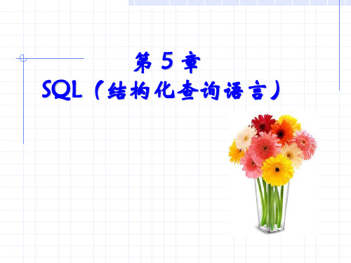 第 5 章  复习 SQL(结构化查询语言)