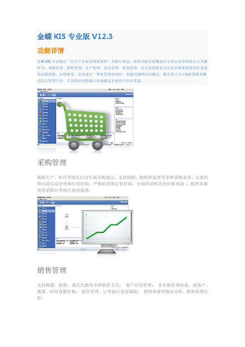 金蝶KIS专业版V12.3 功能详情