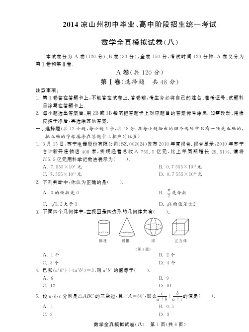 2014届四川凉山州中考数学全真模拟试卷(八)