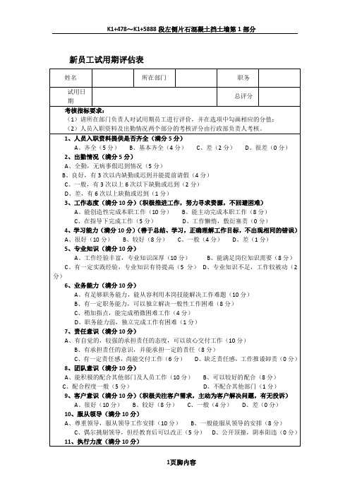 新员工试用期考核表2012.