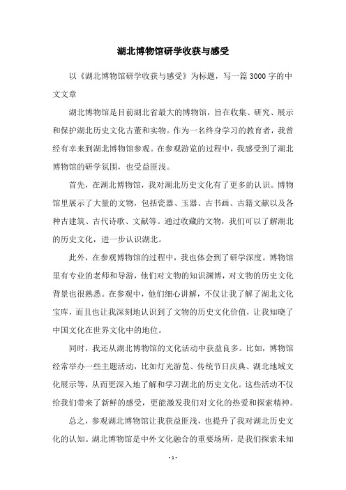 湖北博物馆研学收获与感受