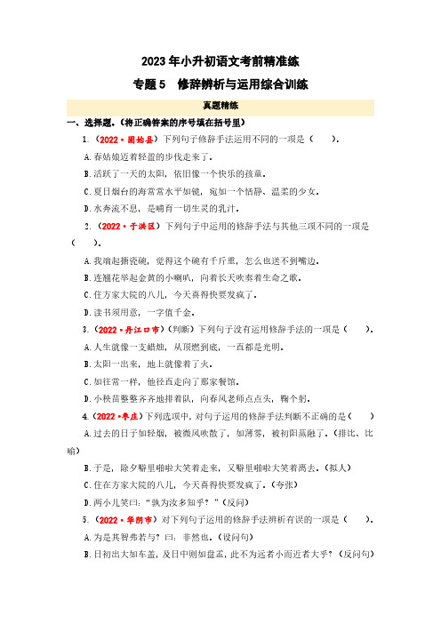 修辞辨析与运用综合训练-2023年小升初语文考前精准练(全国版)