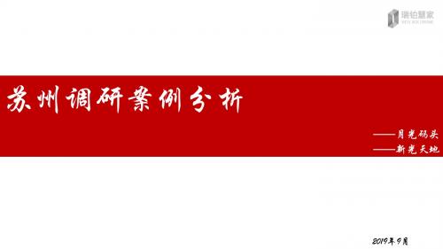 201909苏州新光天地、月光码头商业项目案例分析报告30页