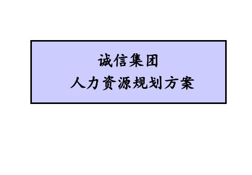 人力资源规划方案案例完整版 ppt课件