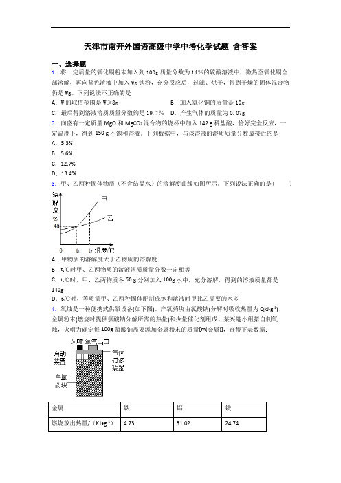 天津市南开外国语高级中学中考化学试题 含答案