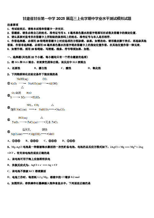 甘肃省甘谷第一中学2025届高三上化学期中学业水平测试模拟试题含解析