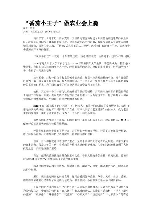 “番茄小王子”做农业会上瘾