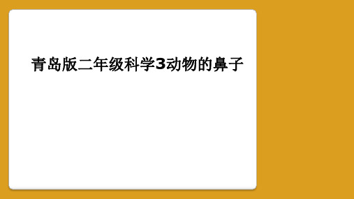 青岛版二年级科学3动物的鼻子