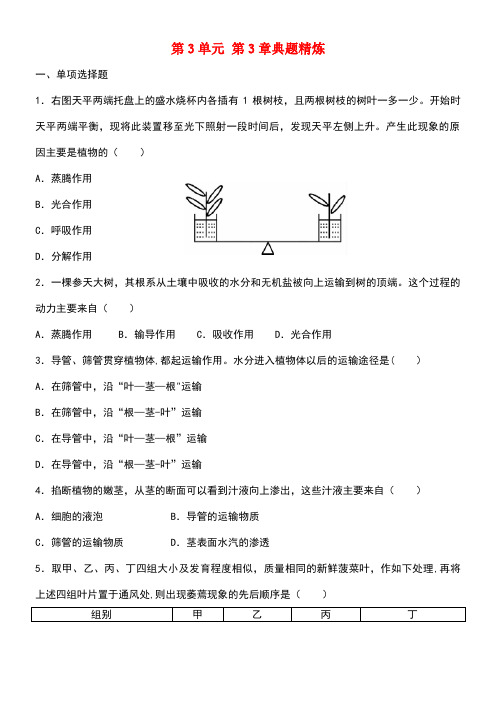 中考生物总复习第3单元第3章典题精炼(无答案)