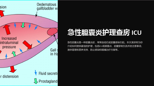 急性胆囊炎护理查房icu