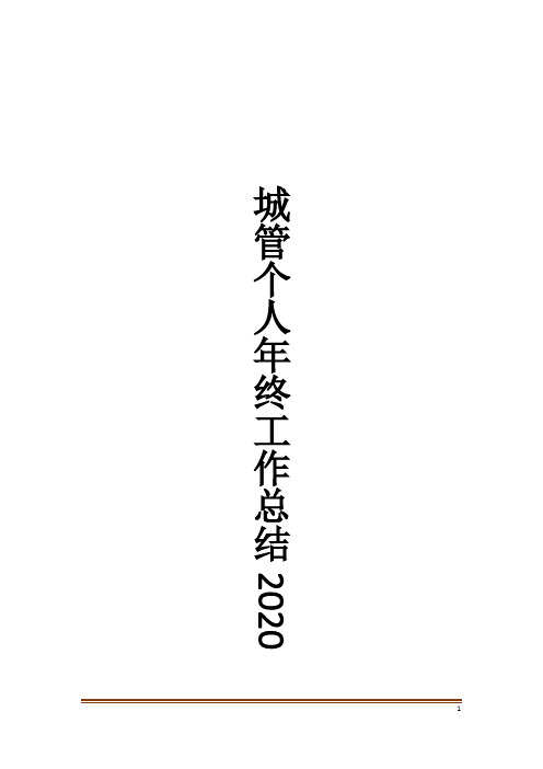 城管个人年终工作总结2020