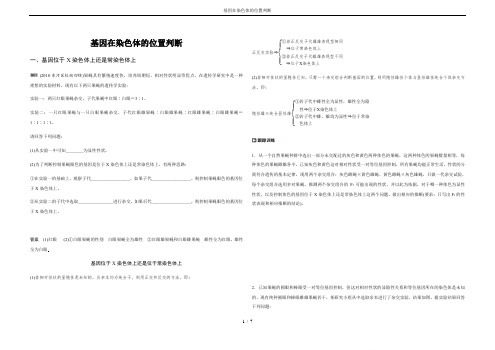 基因在染色体的位置判断