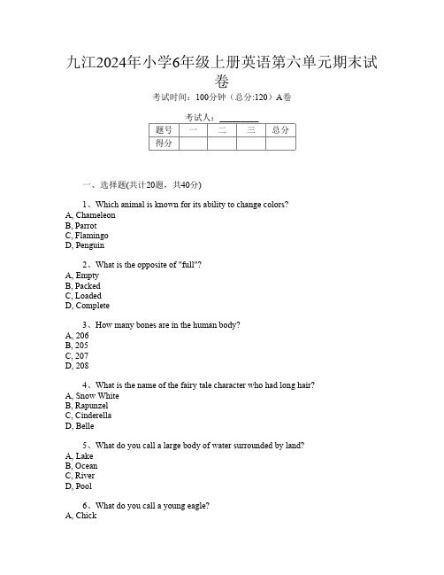 九江2024年小学6年级上册K卷英语第六单元期末试卷