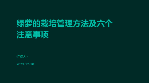 绿萝的栽培管理方法及六个注意事项