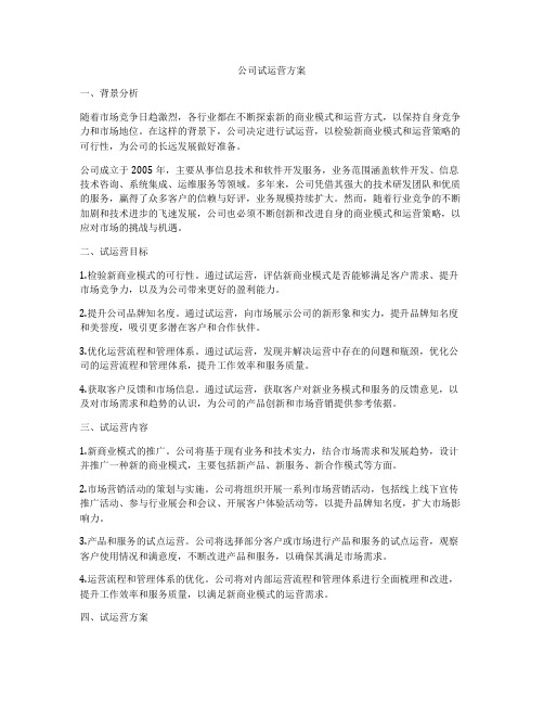 公司试运营方案