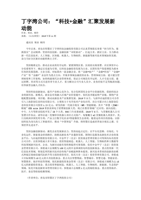 丁字湾公司:“科技+金融”汇聚发展新动能