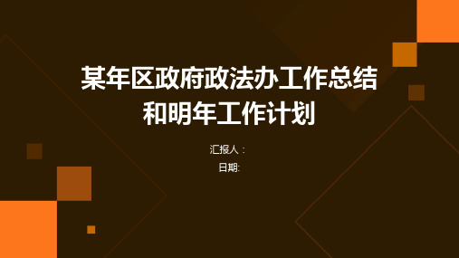 某年区政府政法办工作总结和明年工作计划