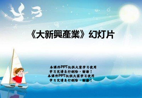 《大新兴产业》幻灯片