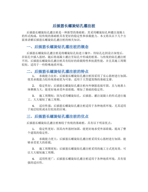 后插筋长螺旋钻孔灌注桩(DOC)