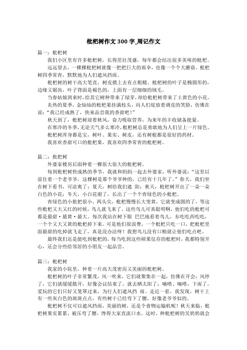 枇杷树作文300字_周记作文