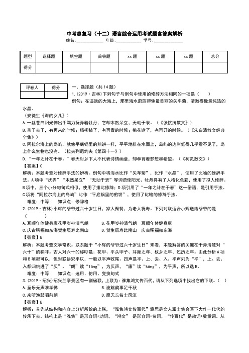 中考总复习(十二)语言综合运用考试题含答案解析.doc