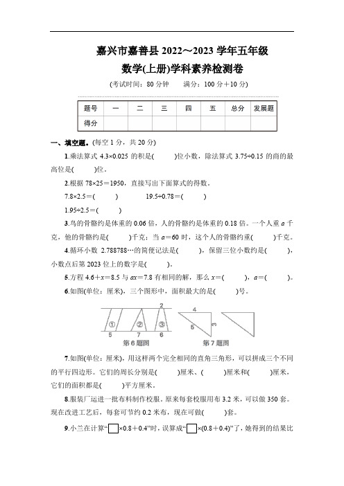 嘉兴市嘉善县2022～2023学年五年级数学(上册)学科素养检测卷