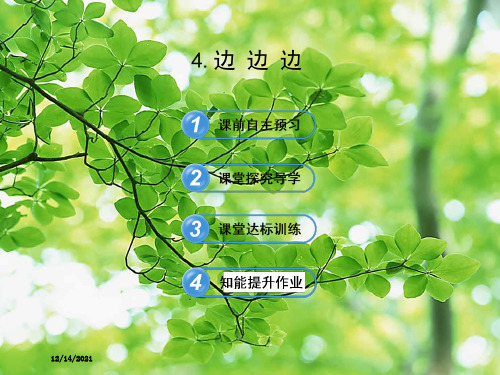 八年级数学下册 第19章 全等三角形 19.2全等三角形的判定 4边边边习题课件